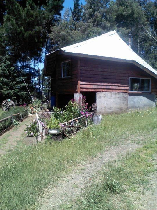 Cabanas Huilipan Gonzalez Nueva Imperial Exterior foto